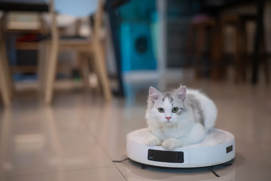 Почистващите роботи са верни помощници