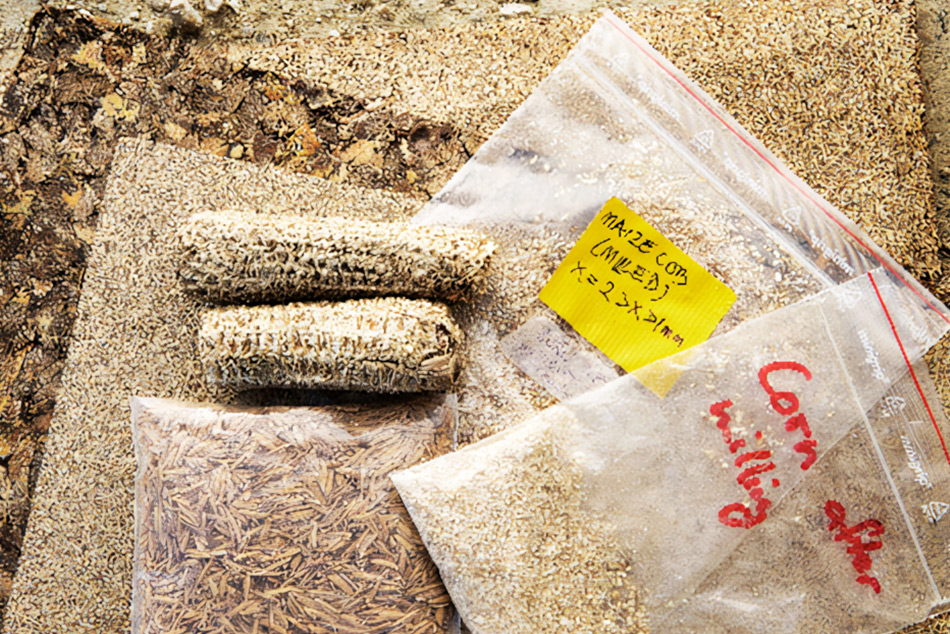 Биоматериалите са истинска златна мина