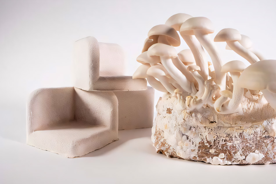 Мицелите са супер екологична структура